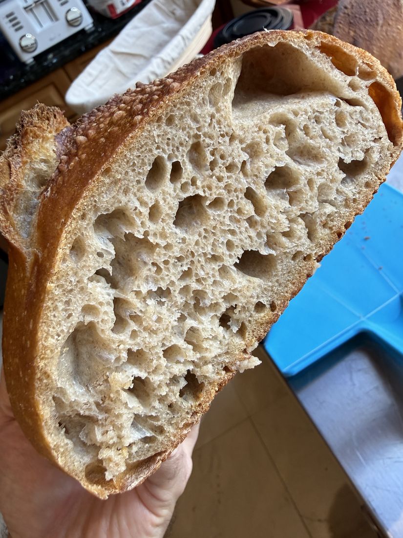 A hand holds a slice of sourdough with an open, glossy, irregular crumb inside a thin golden crust.